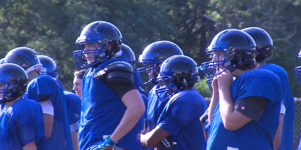 Donovan Catholic Griffins 2014 Preview